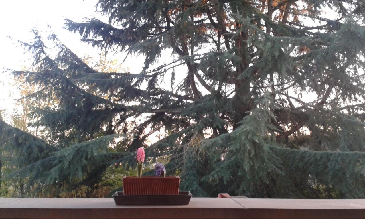 Bed and Breakfast Lupo Azzurro Siena Zewnętrze zdjęcie