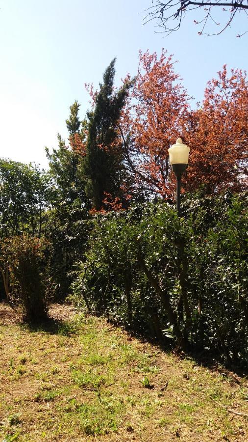Bed and Breakfast Lupo Azzurro Siena Zewnętrze zdjęcie