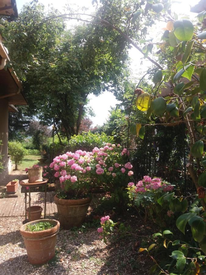 Bed and Breakfast Lupo Azzurro Siena Zewnętrze zdjęcie